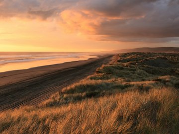 Coastal dunes at sunrise