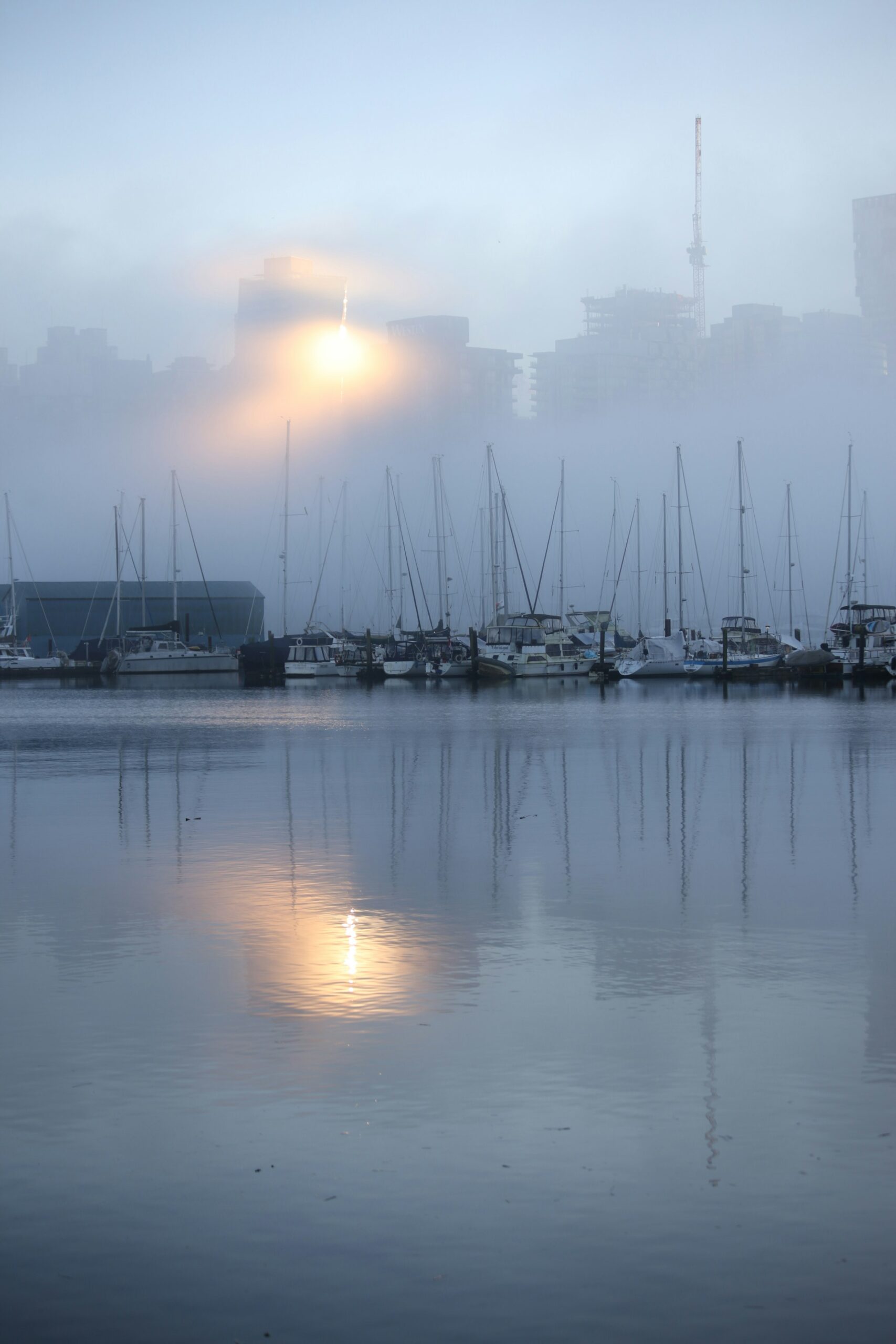 Boats moored in a foggy harbour at dawn